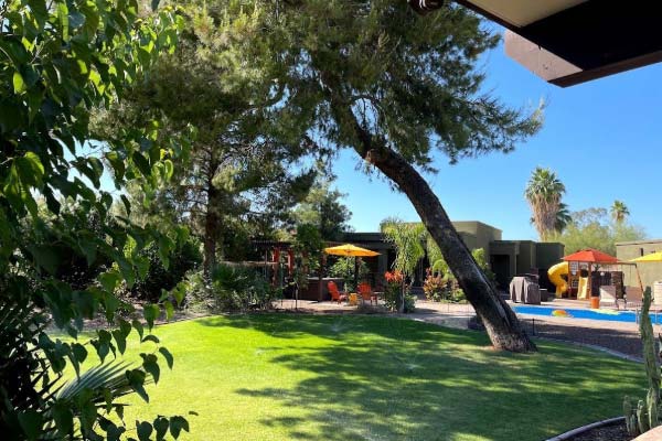 Artificial Turf Putting Green Services